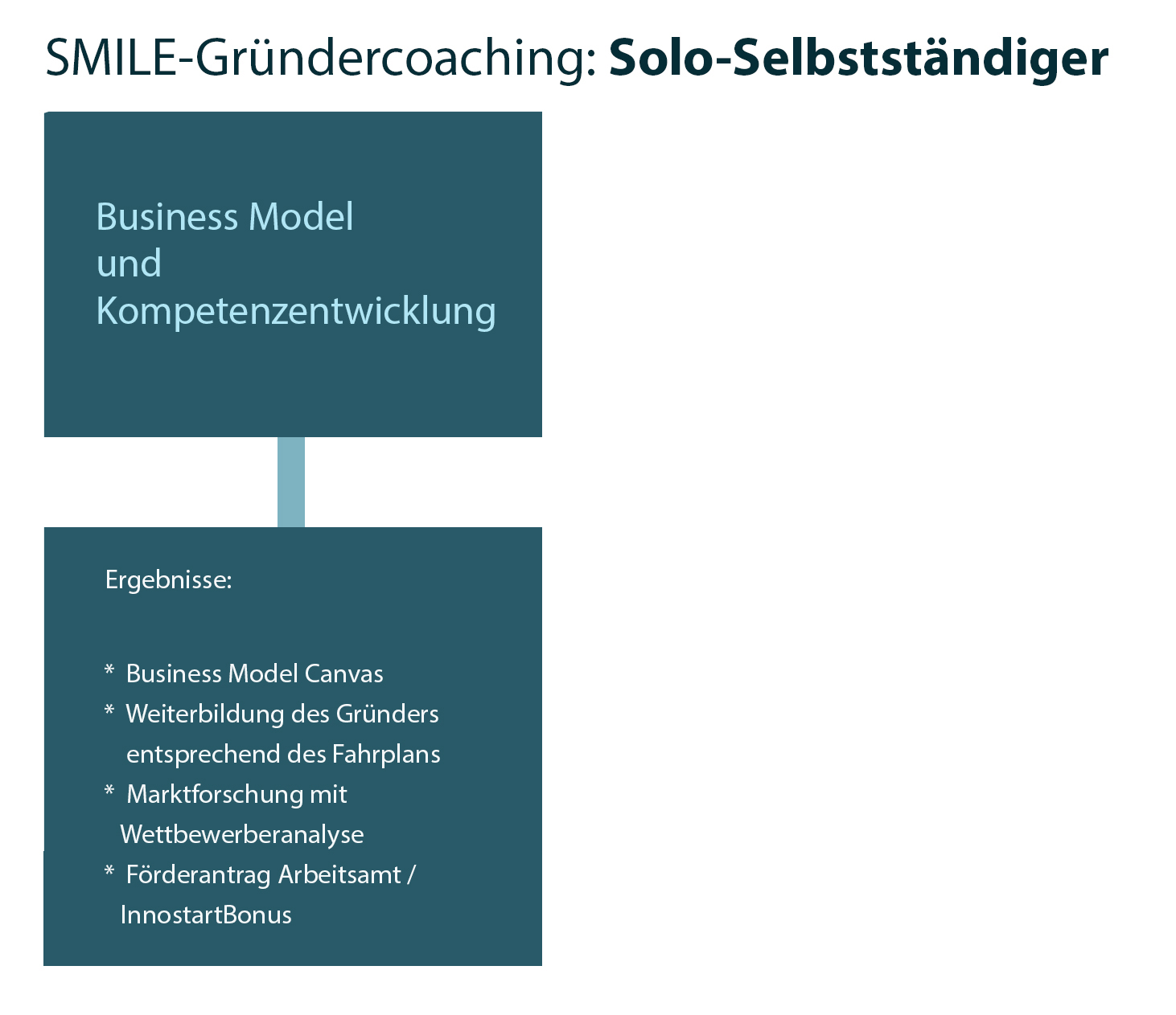SMILE-Coachingprozess Grafik