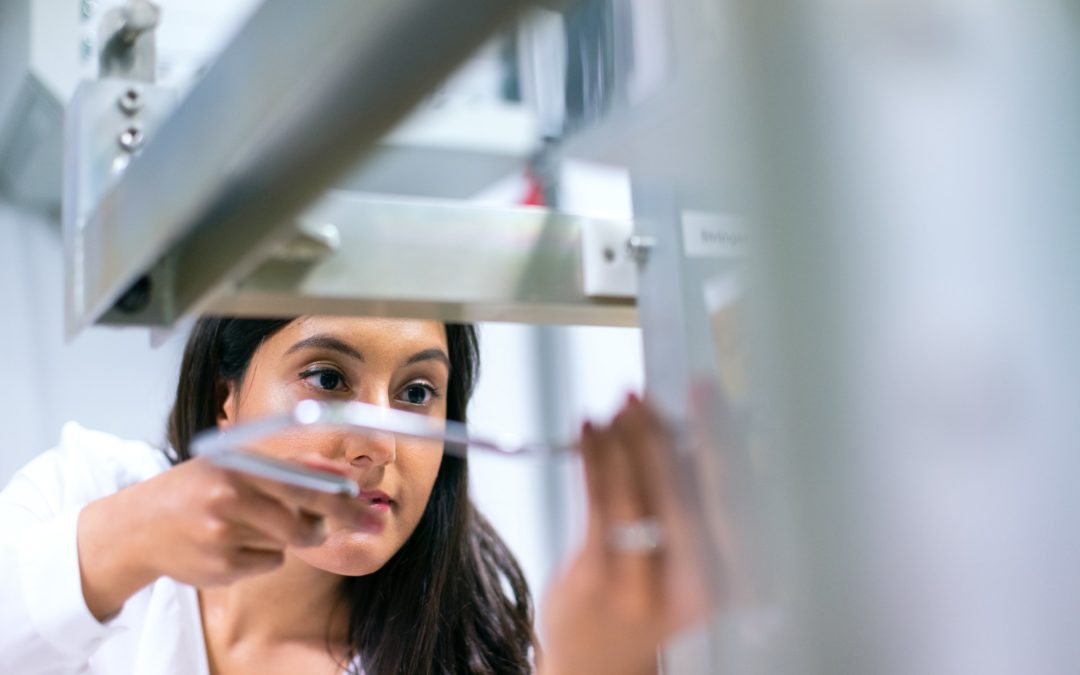 Vom Hörsaal in die Werkstatt – Wege für Studierende ins Handwerk und in die Industrie